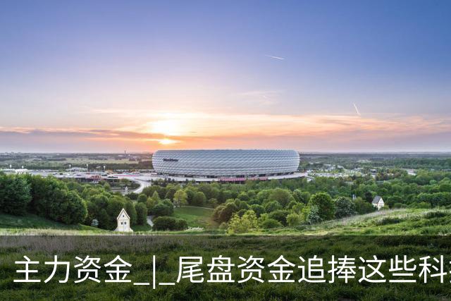 主力资金 | 尾盘资金追捧这些科技股