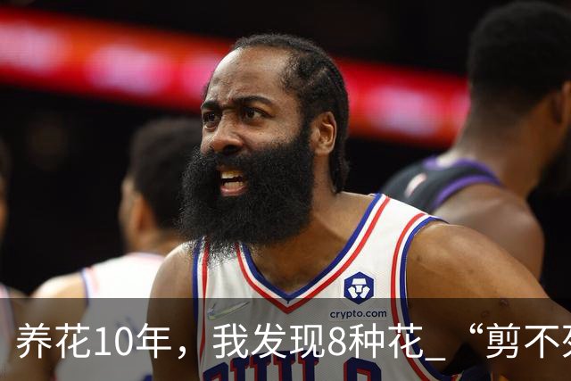 养花10年，我发现8种花 “剪不死”反而会越长越旺，比施肥都管用