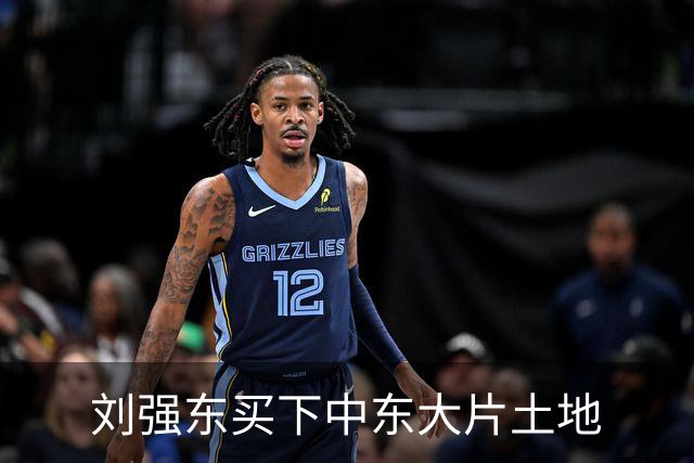 刘强东买下中东大片土地