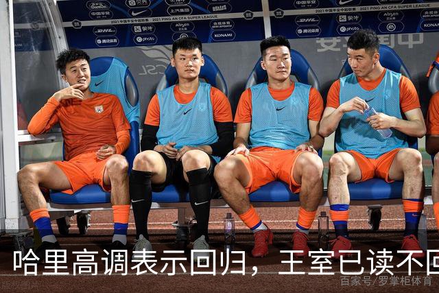 哈里高调表示回归，王室已读不回让他很崩溃，威廉：你不该碰这两个人