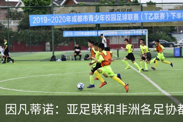 因凡蒂诺：亚足联和非洲各足协都支持我；我尊重所有意见