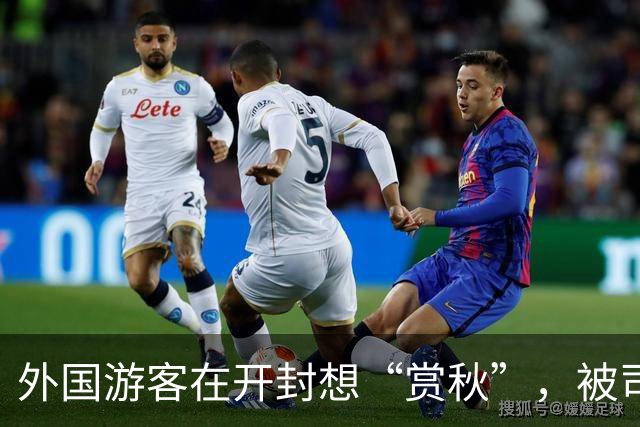 外国游客在开封想“赏秋”，被司机一脚油门拉到商丘