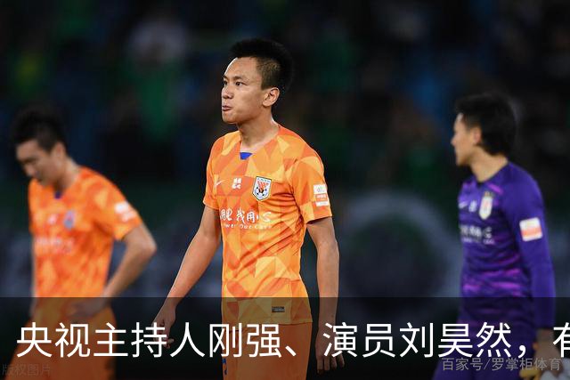 央视主持人刚强、演员刘昊然，有新身份