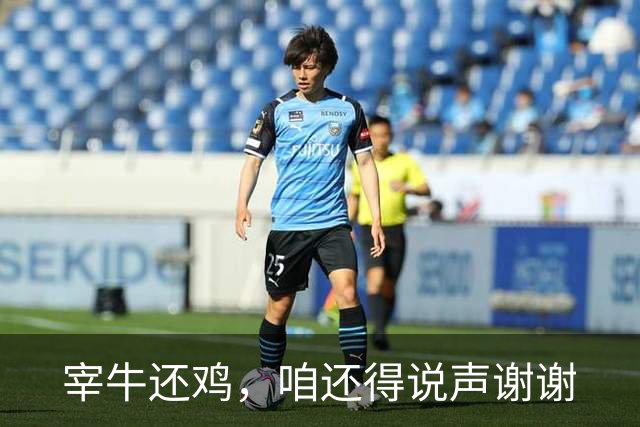 宰牛还鸡，咱还得说声谢谢