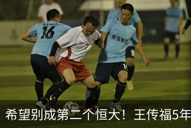 希望别成第二个恒大！王传福5年研发超2000亿，国内失速海外接棒