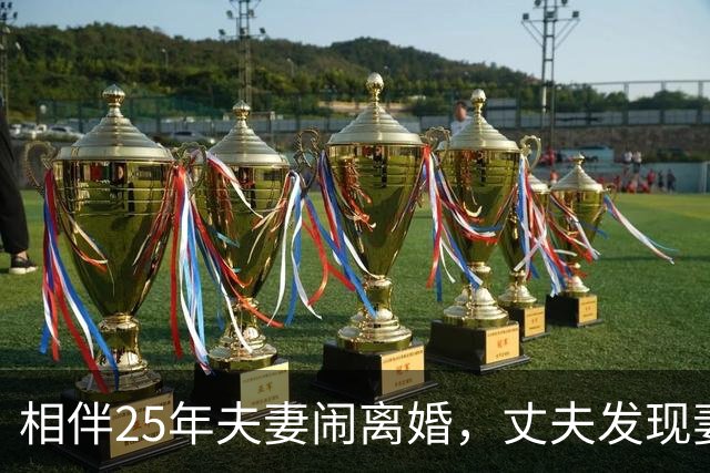 相伴25年夫妻闹离婚，丈夫发现妻子一年前私自将共同房产赠与儿子，于是将妻儿一并起诉，法院：妻子和儿子构成恶意串通，赠与行为无效