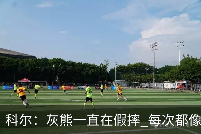 科尔：灰熊一直在假摔 每次都像是被车撞了一样倒下